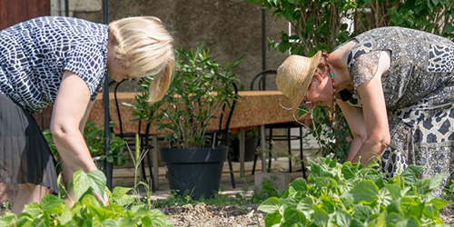 Aidants du Gard s'informer